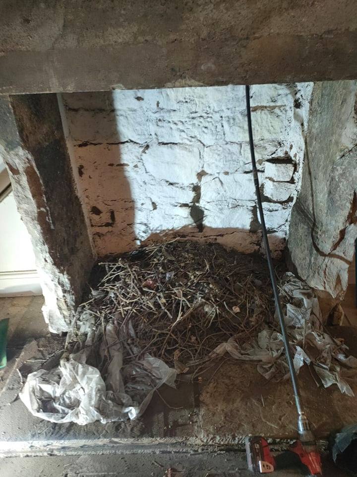 Bird Nest Removal Chimney/Flue Sweeper West Yorkshire From £55